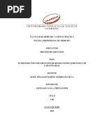 Proceso Único de Ejecución de Resoluciones Judiciales y de Garantía Real.