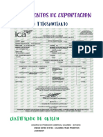 09 4 INFORME Documentación Aduanera Mi Proyecto