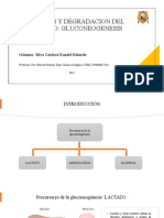 Biosintesis y Degradacion Del Glucógeno