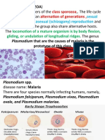 Plasmodium