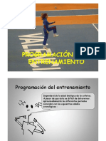 Organización Del Entrenamiento en Jóvenes de Atletismo