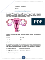 Sistema Reprodutor 2022