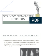 Segundos Premolares Inferiores