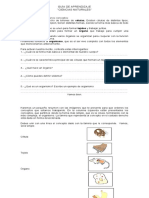 Guia 5to - Ciencias