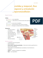 Región Parotídea y Temporal, Fosa Infratemporal y Articulación Temporomandibular