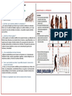 ACTIVIDAD 29-4to-CyT-EVOLUCION DEL SER HUMANO