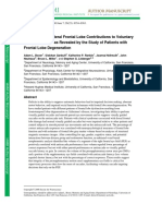 Antisaccades and Frontal Lobes