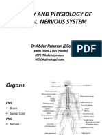 Nervous System-Anatomy & Physiology