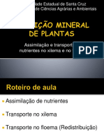 Assimilação e Transporte - Xilema e Floema