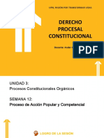 S12 - Proceso de Acción Popular y Competencial