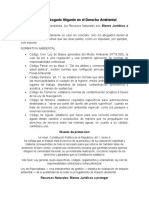 El Rol Del Abogado Litigante en El Derecho Ambiental