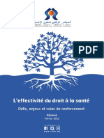 Resume Rapport Sur Leffectivite Du Droit A La Sante Version Francaise 2