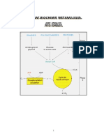 COURS Biochimie Metabolique (Polycope)