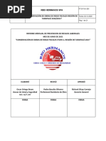 Informe Mensual Nro 1 Syso Junio Etapa Ii