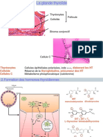 La Glande Thyroïde - PR Bouanane
