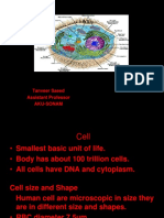 Cell Structure and Function