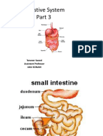 Dygestive Sys Part 3