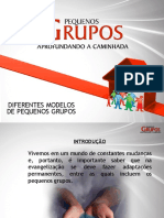 Diferentes Modelos de Pequenos Grupos