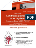 La Filtration Glomérulaire