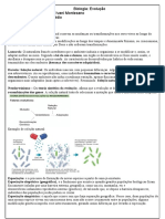 Biologia: Evolução Prof. Ivani Montesano 2º Médio