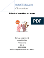 Effect of Smoking On Lungs