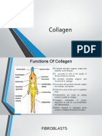 Collagen