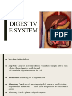 Digestive System