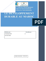 Rapport Devloppement Dtur