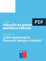 Curso: Inducción en Prevención Selectiva e Indicada