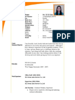 Fancy CV Template