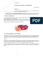 Biología Tema 8. La Célula Eucariota Orgánulos Membranosos