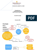 Actividad 1 Psicologia Adultez y Vejez