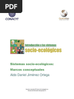 Marcos Conceptuales SSE