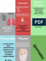 Triptico Sobre La Tuberculosis