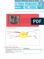 El Mapa Mental para QUINTO Grado de Primaria