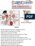 Connective Tissue (CT)