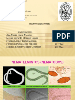 HELMITOS (Nematodos) GRUPO 3 CORREGIDA