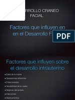 Sin títuloDESARROLLO CRANEOFACIAL 2