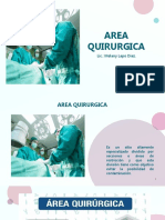 Area Quirurgica