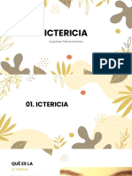 ICTERICIA