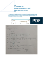 EXAMEN FINAL DE FLUIDOS 2 Do Examen 2021-2