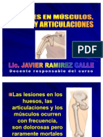 Lesiones en Musculos, Huesos y Articulaciones