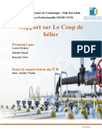 Rapport Coup de Belier