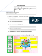 Guía de Trabajo Evaluada OCTAVO