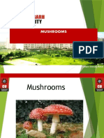 Poisonous Mushrooms