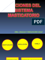 Funciones Del Sistema Masticatorio