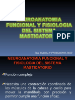 Neuroanatomia y Fisioloogia Del S.E.