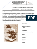 Características Do Micróscopio