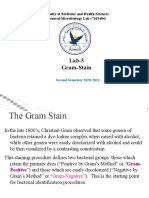 Lab 5 Gram Stain 2nd 2020-2021