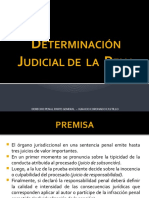 14 Determinación de La Pena